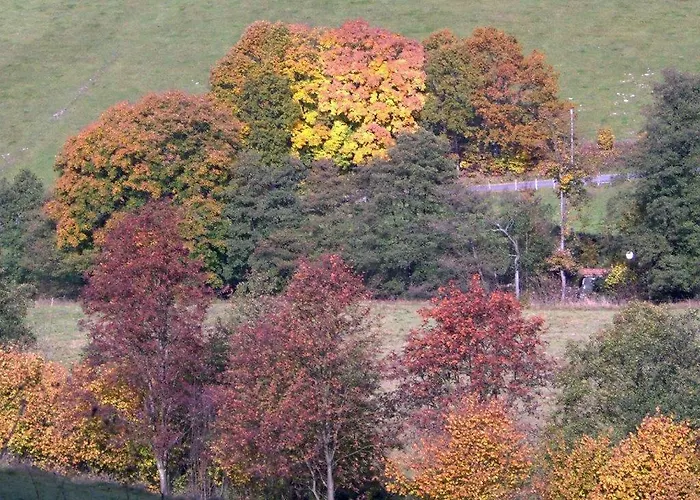 Traum Am See Lägenhet